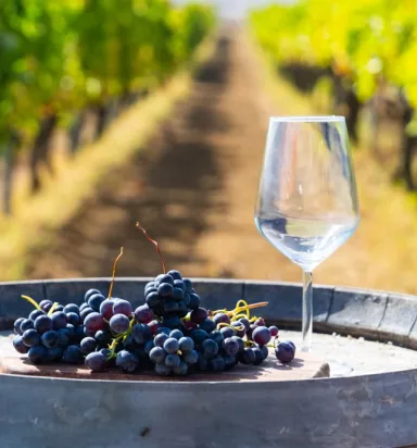 Bozcaada Bağ Evi: Huzuru ve Doğayı Kucaklayın