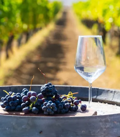 Bozcaada Bağ Evi: Huzuru ve Doğayı Kucaklayın