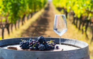 Bozcaada Bağ Evi: Huzuru ve Doğayı Kucaklayın