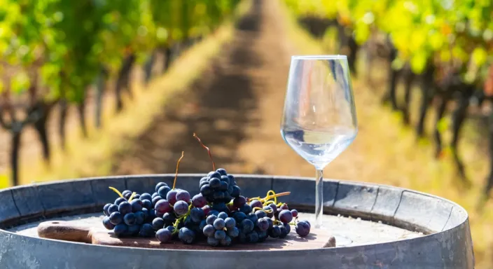 Bozcaada Bağ Evi: Huzuru ve Doğayı Kucaklayın